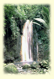 St. Lucia Diamond Waterfalls
